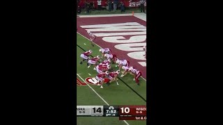 Braelon Allen TD vs Nebraska  Wisconsin Football [upl. by Tnilf]