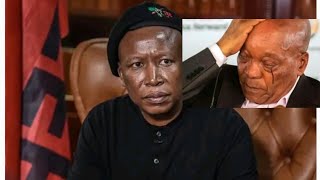 Julius Malema vs Jacob Zuma at parliament [upl. by Aihsenor]