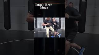 Israeli Krav Maga targets the bodys most vulnerable and painful points [upl. by Adrell]