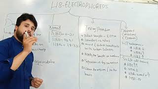 Hb electrophoresis Test  Procedure and Importance of Hb electrophoresis Test [upl. by Lyn]