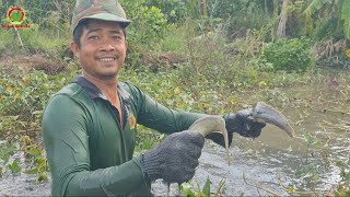 Anh Em Ra Đồng Săn Bắt Về Chòi Nấu Nồi Cháo Cá Thưởng Thức Quá Ngon  ỐcNhỏMiềnTây 36 [upl. by Akcire139]