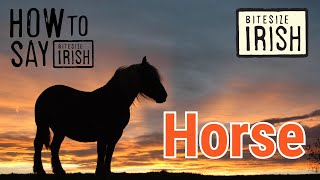 How to say Horse in Irish bitesizeirish [upl. by Quartis]