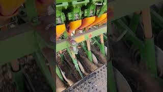 Buğday ekimi nadas farming agriculture machine herk farmer agriculturefarming [upl. by Anerev]