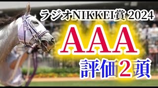 【ラジオNIKKEI賞2024】3歳限定戦で唯一のハンデ重賞！逃げ馬多数で超ハイペース必死の大混戦！？ラジオNIKKEI賞の出走予定馬を徹底考察！ [upl. by Aivin]