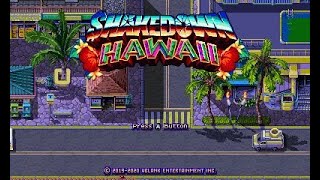 Shakedown Hawaii  Full Game Walkthrough  3DS [upl. by Michaela]