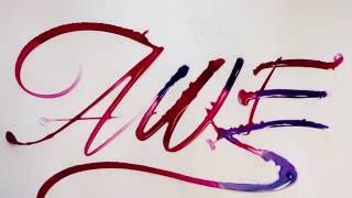 Awe  Water Calligraphy by Seb Lester [upl. by Dionysus437]