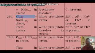 Qualtative Analysis 1 Chemistry Practical NECO SSCE 2024 Salt analysis Zinc chloride [upl. by Lenrow]