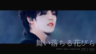 4K 230518 일본 팬미팅 LOVE  세븐틴 에스쿱스 SCOUPS 舞い落ちる花びら Fallin Flower 직캠 [upl. by Arvonio]