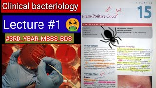 Bacteriology Clinical Classification 🛑 LECTURE 1 Grampositive Gramnegative thick bacteria [upl. by Nlycaj]