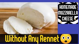 Instant Homemade Mozzarella Cheese  Homemade Cheese recipe without rennet Mahas Kitchenette [upl. by Ogu]