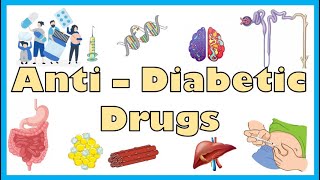 AntiDiabetic Medications  Types Mechanism Of Action Indications Side Effects Contraindications [upl. by Abbot]