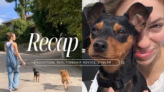 RECAP • our new rescue [upl. by Dean389]