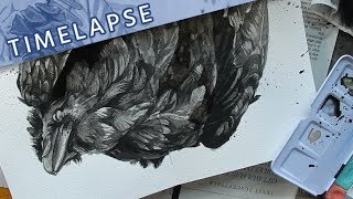 Painting a Raven  Watercolour Timelapse  Mary Sanche [upl. by Aivatal]