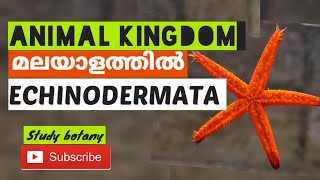 PHYLUM ECHINODERMATA CHAPTER4 ANIMAL KINGDOM PLUS ONE BIOLOGY MALAYALATHIL PART12 STUDY BOTANY SB [upl. by Phillipe]