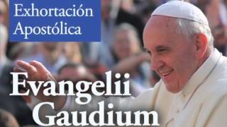 Evangelii Gaudium Audio Capítulo 1 en español [upl. by Merrick]