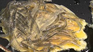 New Zealand Whitebait Catching and cooking whitebait [upl. by Lorine]