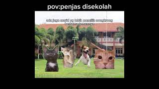 mles lah hpus ariaji2 kucing kucing [upl. by Fidelio]