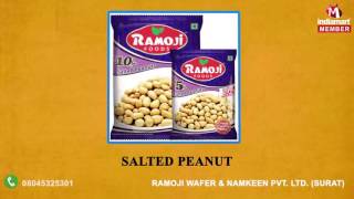 Flavored Chips And Namkeen By Ramoji Wafer amp Namkeen Pvt Ltd Surat [upl. by Maltzman]