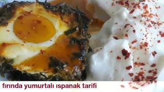 Fırında yumurtalı ıspanak tarifi [upl. by Madancy316]