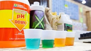 A Beginners Guide Hydroponic Nutrients [upl. by Jasik]