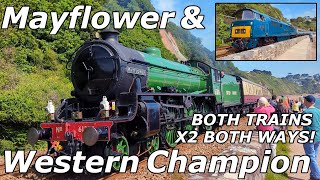 61306 Mayflower amp D1015 Western Champion  Both Trains  Both Ways  Teignmouth  010624 [upl. by Xyla]