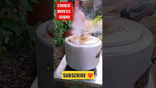 Cooker Whistle Sound cooker cookercooker cookerwhistlesound foodxyz [upl. by Barsky780]