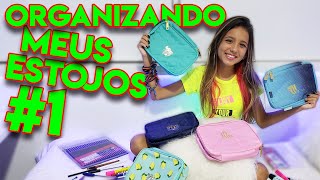 ORGANIZANDO MEU ESTOJO para VOLTA AS AULAS  parte 1 [upl. by Adaner]