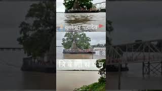 Kuleshwar Mahadev Rajim kuleshwar pknvlogs cg rajimuralivlogs 2022 [upl. by Ynatsed181]