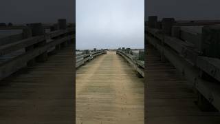 Ted Kennedy Crash Site Chappaquiddick Island Massachusetts shorts kennedy drowning tragedy oh [upl. by Eycats]