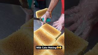 Milk Cake Making😍😋 Indian Street Food [upl. by Nerej]