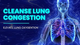 Cleanse Lung Congestion  Expel Lung Mucus  Optimize Breathing Pattern  Elevate Lung Oxygenation [upl. by Marchall]