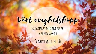 Vårt evighetshopp  Anders Ek [upl. by Cranford30]