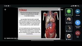 SEMIOLOGIA DEL TORAX [upl. by Baynebridge902]