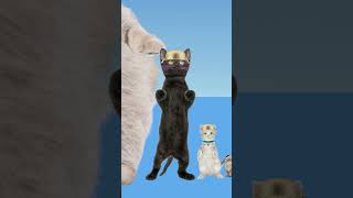 we did it 5Ping Pong Ball Trick Shotstrickshotsping pong ball songhealing funny cat animation [upl. by Osmond]