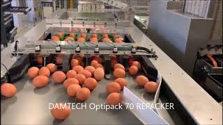 DAMTECH Egg grader and Repacker 15000Eph [upl. by Inez]