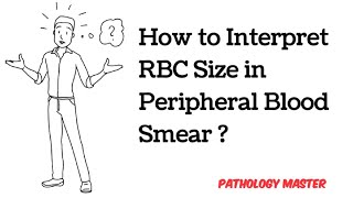 Importance of RBC Size in Peripheral Blood Smear  Made easy  Microcytic amp Macrocytic anemia [upl. by Dusa]