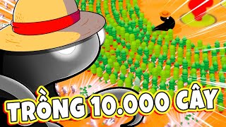 Trồng 10000 cây cùng THẦN RỪNG LUFFY  From Ashes Bloom [upl. by Natam300]