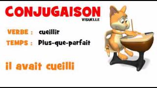 CONJUGAISON  cueillir  Plus que parfait [upl. by Allerus]