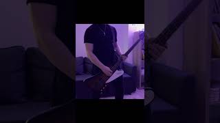 Mister Superstar  Marilyn Manson Bass Cover [upl. by Iveel897]