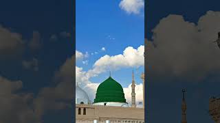 Mere Aaka ko dekhoge jamana bhul jaaoge ♥️💚 trending islamic statussubscribe viralvideo [upl. by Yatnahs]