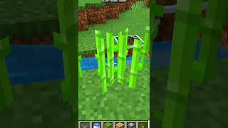 Best Auto Sugarcane Farm in 60 Seconds [upl. by Nertie]