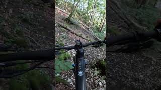 Lägern  Kugellager auf dem Trail😱 Loose but fun😂 enduromtb mtb mountainbike shorts short [upl. by Ecyrb]