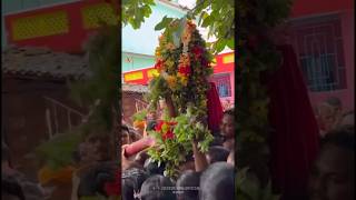 🌺🥥🌺🥥esta devi Maachani chhatar jatra bhawanipatna 2024  bhawanipatna chhatar jatra bhawanipatna [upl. by Nerissa]