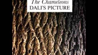 The Chameleons  Dalis Picture complete original demo [upl. by Marianna]