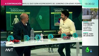 ¿Qué son y cómo nos afectan los disruptones endocrinos [upl. by Hyacintha]