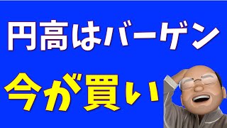 円高はバーゲン、今が買い【SampP500 NASDAQ100】 [upl. by Nesyaj854]