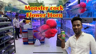 Kurla fish market new vlog fish food purchasing [upl. by Elvira]