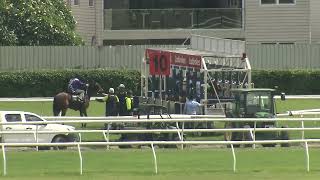 Heat 7 Doomben Jumpouts 5th Dec [upl. by Lolande]