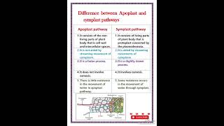 Difference between apoplast and symplast pathway [upl. by Aisetra275]