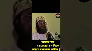 আল্লাহ পাক কোরআনের পাখিকে জান্নাত দান করুন আমীন allama delwar hussain saidi waz waz [upl. by Illom]